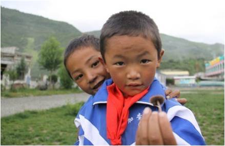 �ɂ�(g��)�W(xu��)���������(f��)����W(xu��)��֧���(du��)�T�����_(d��)�Ѻã��f��һֻСĢ�����挦(du��)�㌍(sh��)�ĺ��ӂ���֧���(du��)�T������ϣ���ǡ��������҂�������҂��������S��(sh��)����