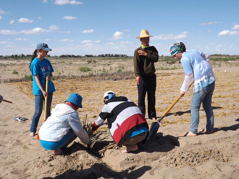 �@�N1.5��Ҋ�������ݸ�������ɳЧ����á����^4��5���͕��L�g��������Ҫ�����a����