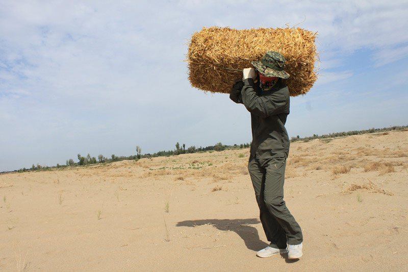 �F(tu��n)�T���i�������������ϳ����ģ����������؟(z��)����