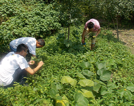 �ڶ�����꠆T���_ʼ�������B(t��i)�r(n��ng)���w��r(n��ng)��������������ժ�ˡ�