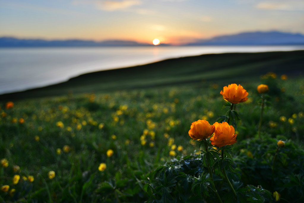 ���(hu��)�����l(xi��ng)�ĸ����