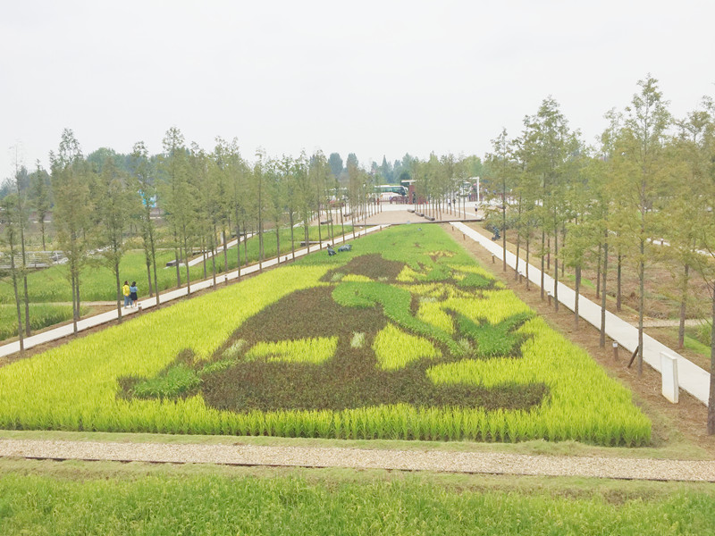 ������L�������������zӰ����־�ۣ�