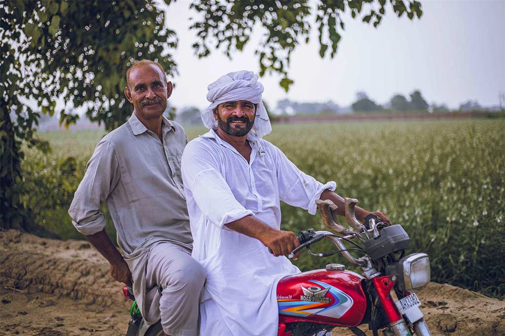 芝麻種植基地給當(dāng)?shù)厝藥砀嗑蜆I(yè)機會。（人民網(wǎng)記者 薛丹攝）