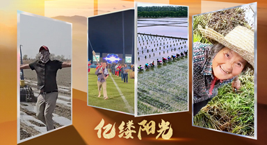 億縷陽(yáng)光·鄉(xiāng)見(jiàn)︱快樂(lè)耕耘